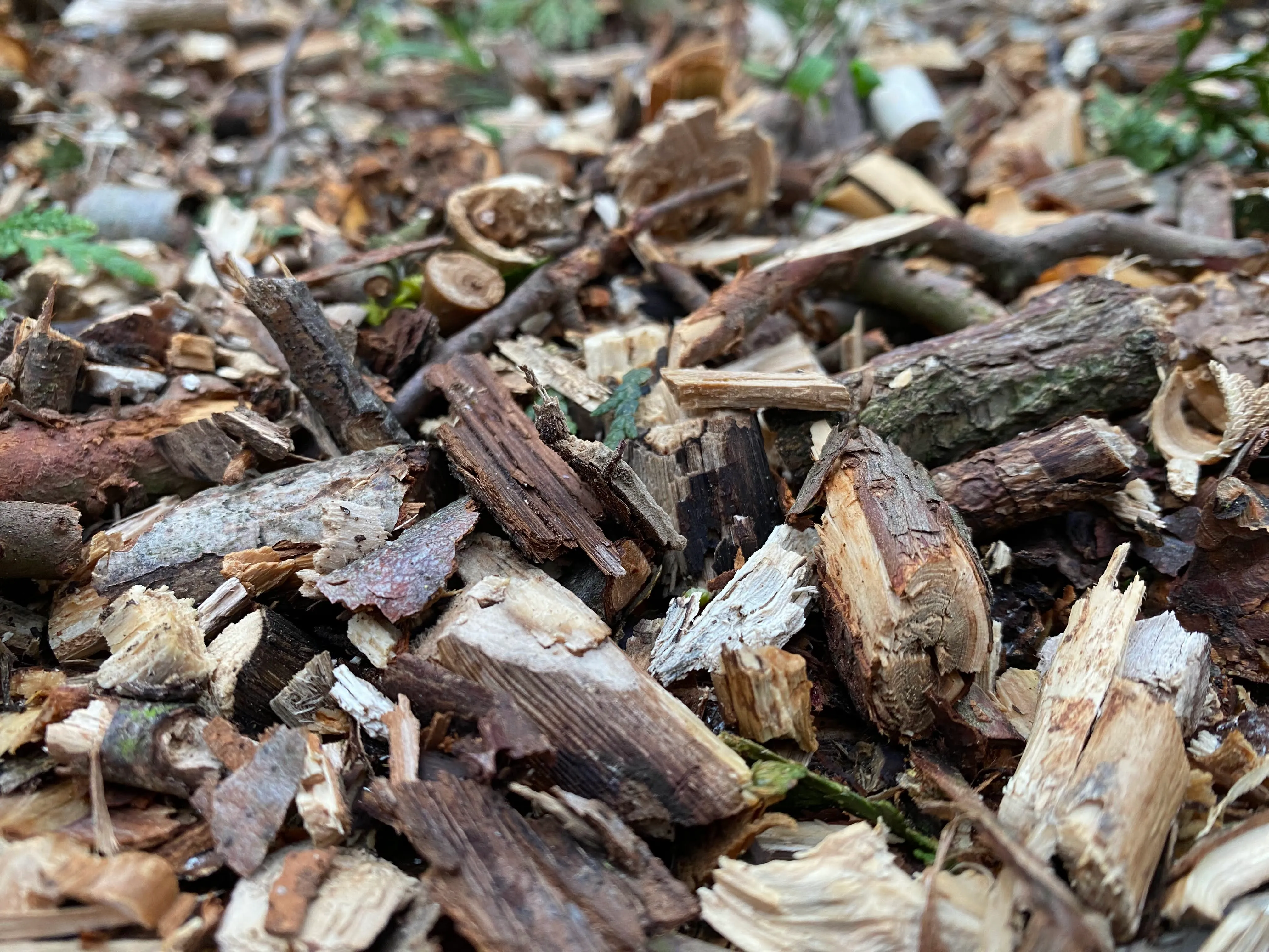 Mulch aus dem Häcksler